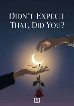 Didn’t Expect That, Did You? novel cover