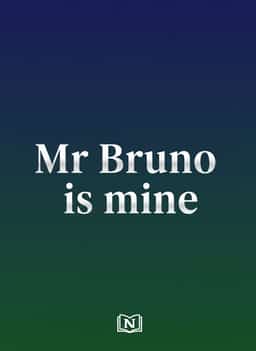 Mr Bruno is mine novel cover