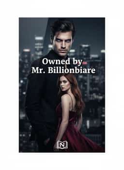 Owned by Mr. Billionaire novel cover