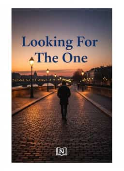 Looking For The One novel cover